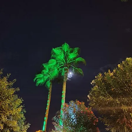 Cleopatra City - *